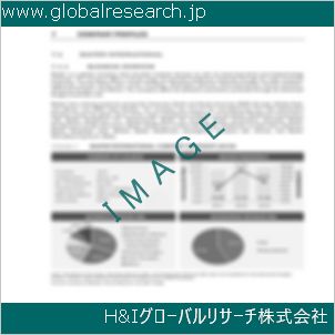 グローバルリサーチ調査資料のイメージ